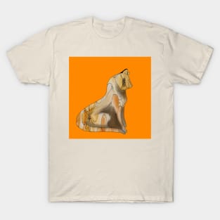 Orange floral pretty kitty T-Shirt